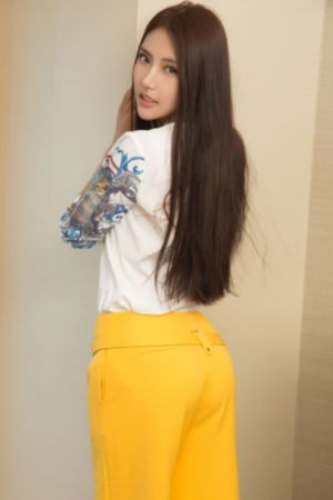 狐狸第一季电视剧免费观看高清